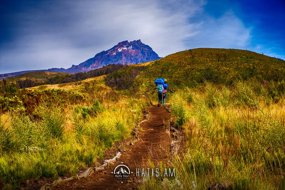 Climbing Kilimanjaro | Group Hike